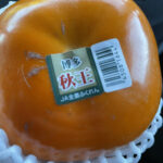 Thumbnail of related posts 124